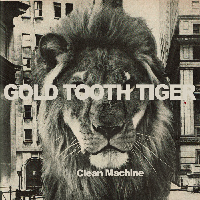 Gold Tooth Tiger